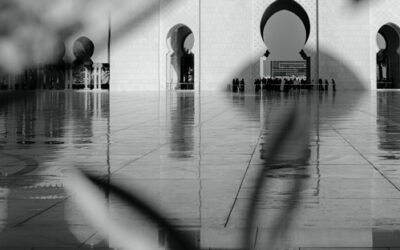 Mental Health & DBT in The Arab World and Where it’s Heading
